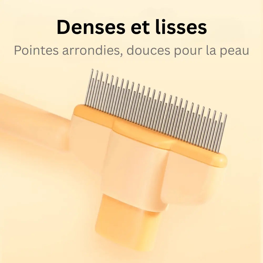 Brosse anti-poils pour animaux