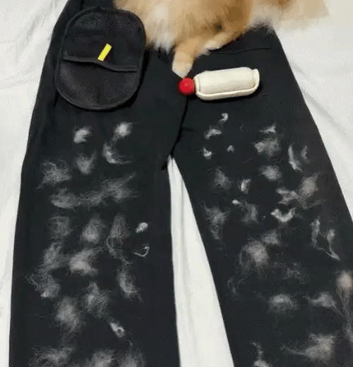 Pet Hair Removal Gloves™