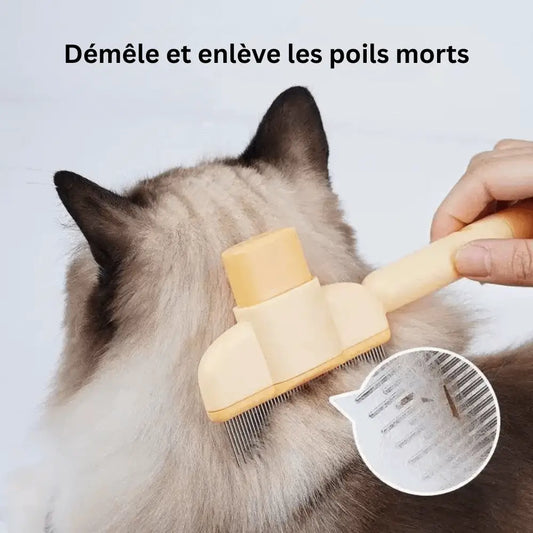 Brosse anti-poils pour animaux